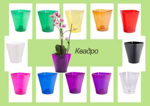 ������ ����� � ����� ����� �� ��������� - �������� �� 59% - ����������� 1