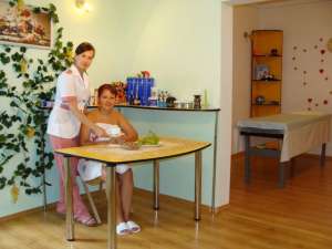 ������ ����� �. ����������� - ����������� 1