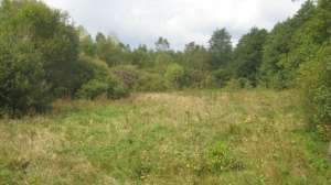 ������ ����� �� ������ ����� � ������ - ����������� 1