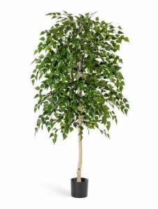 ������ ����� �� ������������ �������������� ������ - ����������� 1