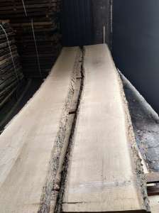 ������ ����� ���� ����. - ����������� 1