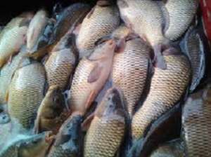 ������ ����� ���� ����, ��������� - ����������� 1