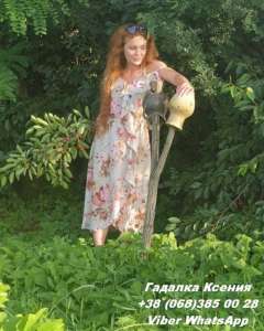 ������ ����� ����. �������� �� ���� ����. ������� ����. - ����������� 1