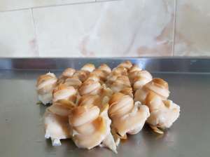 ������ ����� ����� - ����������� 1