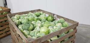 ������ ����� ����� �����. ������ ������� ����� ������ - ����������� 1