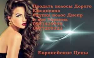 ������ �����. ����� ������ �� ����������� �����. - ����������� 1