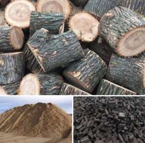 ������ ����� ����� ������ �������� ����� ���� - ����������� 1