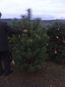 ������ ����� ����� �������. - ����������� 1