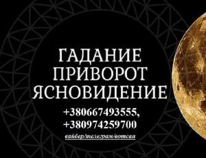 ������ ����� ������ ���������. ������� �������. - ����������� 1