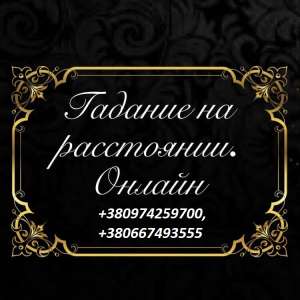 ������ ����� ������ ���������. �������� ������� �� ����������. - ����������� 1