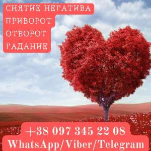 ������ �����. ������ �����������. - ����������� 1