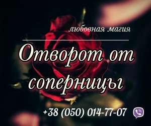 ������ �����. ������ �����������. �������. - ����������� 1