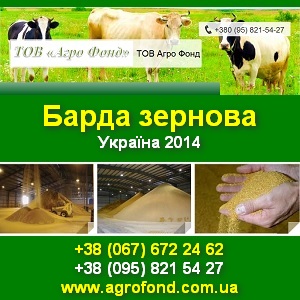 ������ ����� �������, ����. ������ 32-36 % ������. - ����������� 1