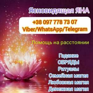 ������ �����. ������� ������. ������ ����. - ����������� 1