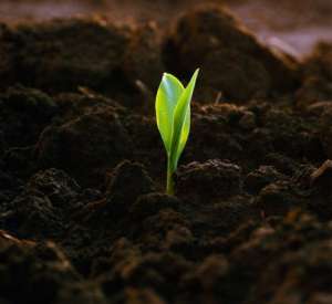 ������ ����� (��������) - ����������� 1