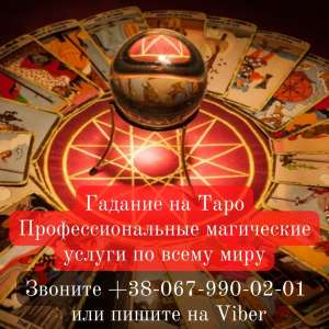 ������ �����. �������� ��������. - ����������� 1