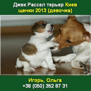 ������ ������ 2013 ���� ������ ������� � ����� - ����������� 1