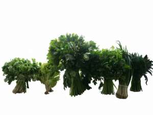 ������ ������ - ����������� 1