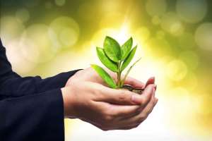 ������ ������ - ����������� 1