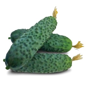 ������ ������ KS 90 F1 ����� ������ - ����������� 1