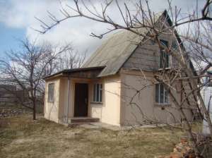 ������ ������ ��� � ����������-����������� - ����������� 1