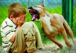 ������ ������ ��� ����� ������ �� ������������ - ����������� 1