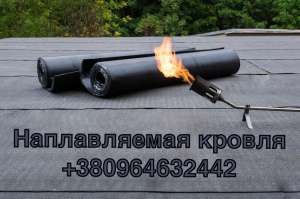 ������ ������ ����: �����, �������, �������. �������������. - ����������� 1