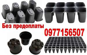 ������ ������ ����� ��� ������� ������� �� ������� ����� ������ ������ �������� �� ����� ��� ���������� ����� � � ������� - ����������� 1