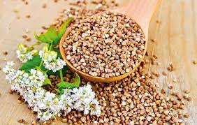 ������ ������. ����� ������. ������� - ����������� 1