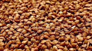 ������ ������ ������ (��. 5 ����) - ����������� 1