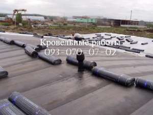 ������ ������ ������ ����� ��������� � �������� - ����������� 1