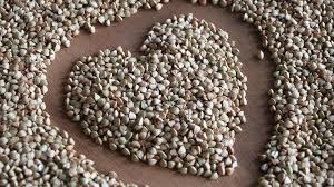 ������ ������. ������ ������ - ����������� 1