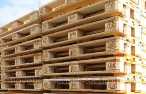 ������ ������ ������ ������ ���� - ����������� 1