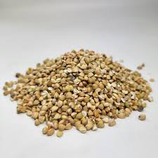 ������ ������. ������ ������. ������� ������ - ����������� 1