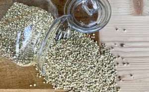 ������ ������, �������. - ����������� 1