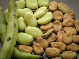 ������ ������. ������� ������� ����� - ����������� 1