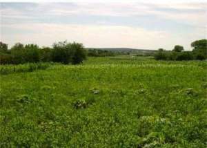 ������ ������� 7 ��. �� ����� - ����������� 1