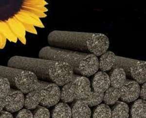 ������, ������� � �������� ���������. - ����������� 1