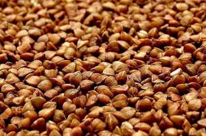 ������ ������� (�� 5 ����) - ����������� 1