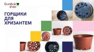 ������ ������� ��� ��������� (����� ����) - ����������� 1