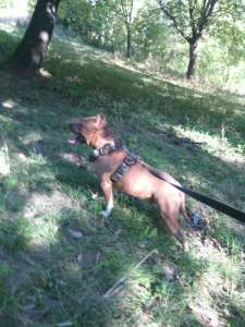 ������ ������� ���� ������� - ����������� 1