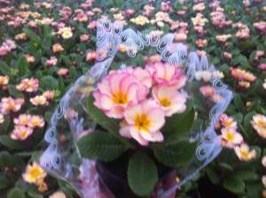 ������ ������� �����! - ����������� 1