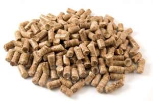 ������. �������. ����� - ����������� 1