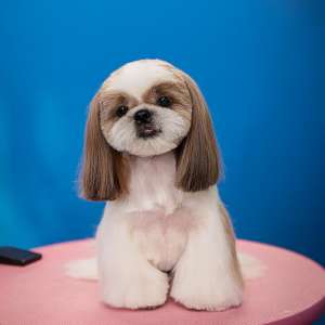 ������, ������� ����� � ���� - ����������� 1