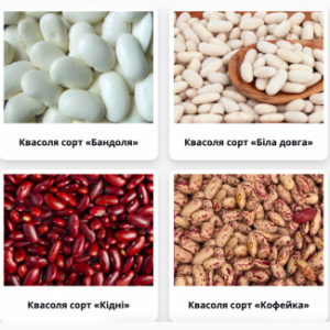 ������ ������� ����� (�� 5 ����) - ����������� 1