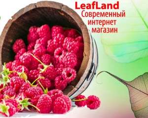 ������ ������� ������ �� �������� Leafland - ����������� 1