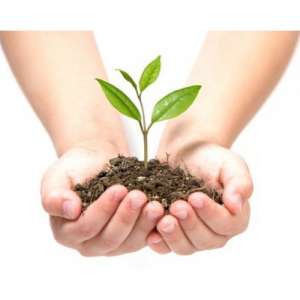 ������ ||| ������� ������ �����. �Ͳ���. MgO - 16,7%, S - 13,3% - ����������� 1