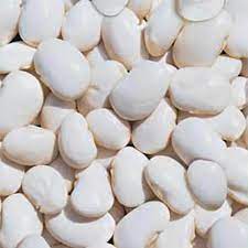 ������ �������. ������ ������. - ����������� 1