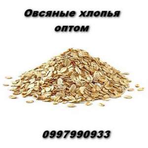 ������ ������� ������ ������ ��� - ����������� 1