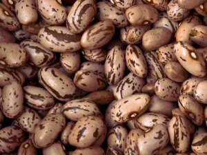 ������ �������. ������ ������� - ����������� 1